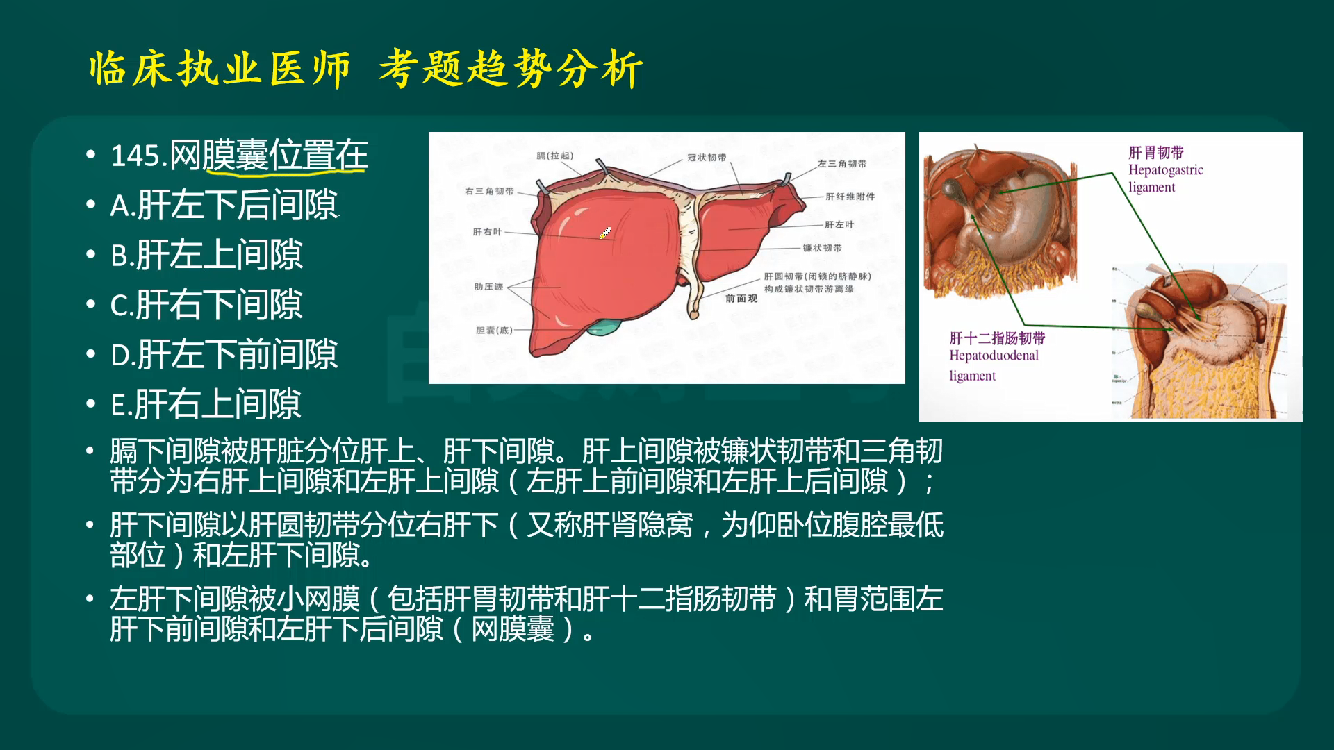 解剖学试题解析