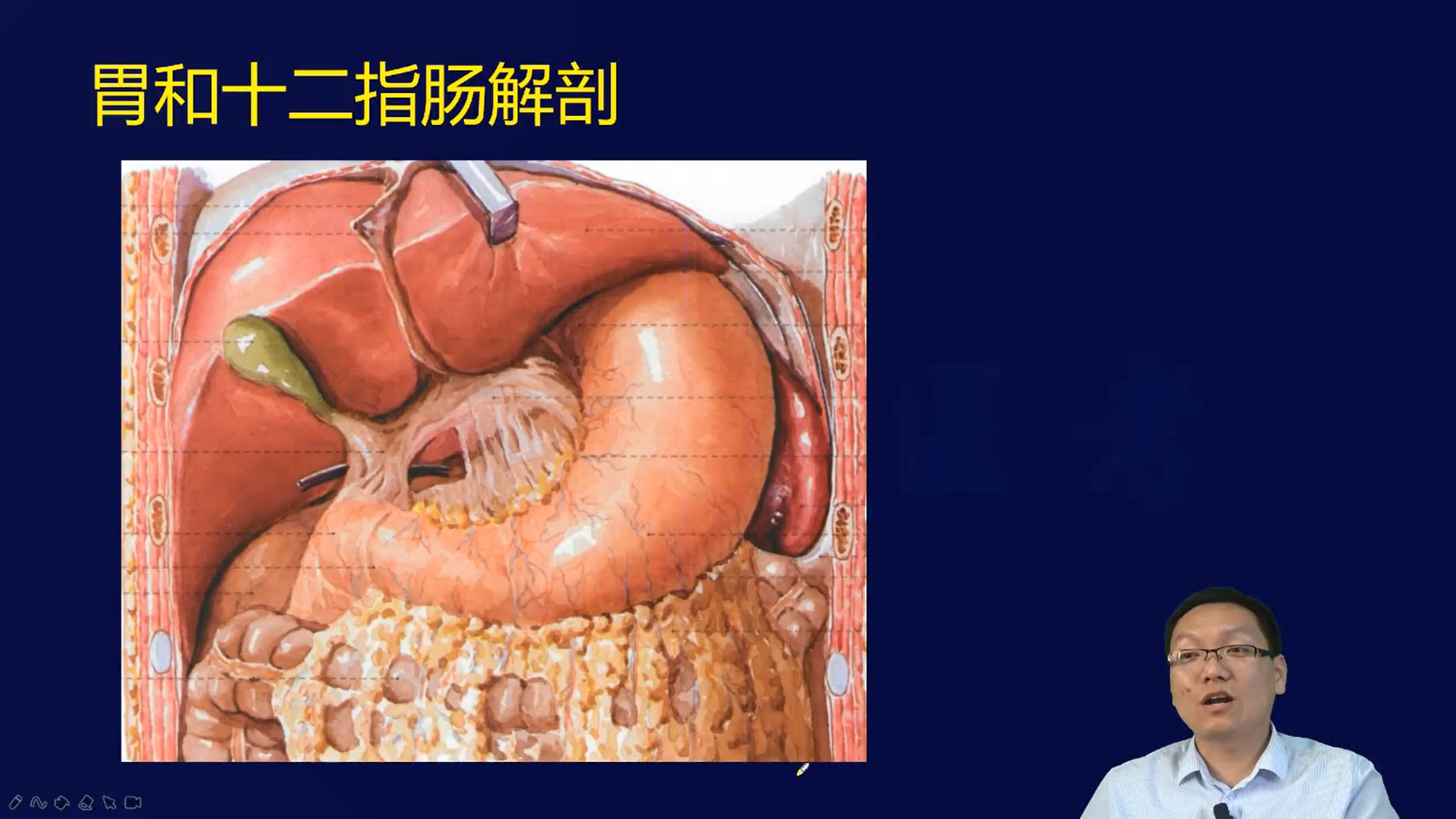 乡村全科助理-消化性溃疡