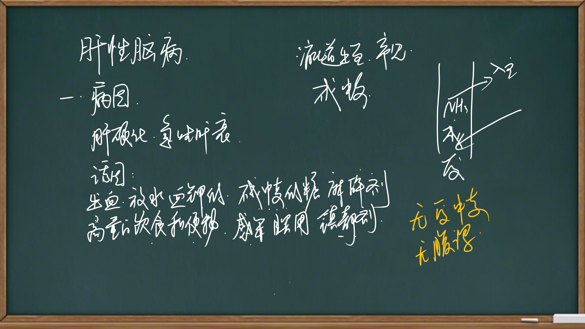 高频考点-肝性脑病
